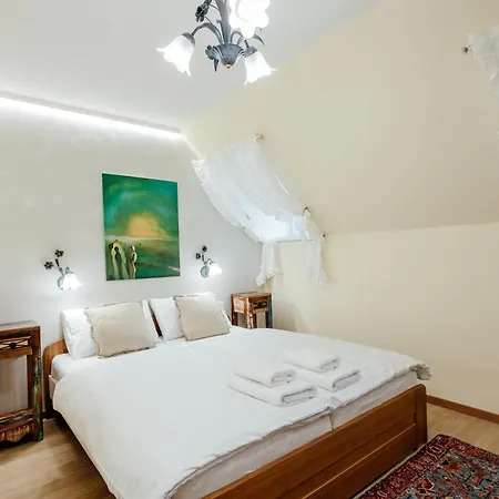 公寓式酒店 Franz Banská Štiavnica