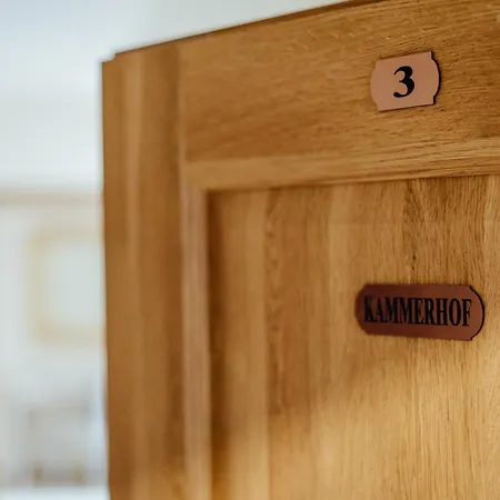 Ξενοδοχείο με διαμερίσματα Franz